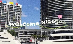 高诗岩妻子晒两人甜蜜Vlog：迎接小高 总算是见面了