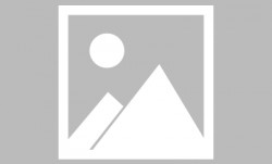 蒂格：布伦森不是联盟的门面 但他应该取代米切尔进入一阵