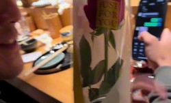 玫瑰送你！王少杰to黄荣奇：满餐厅的情侣 咱就凑合过吧
